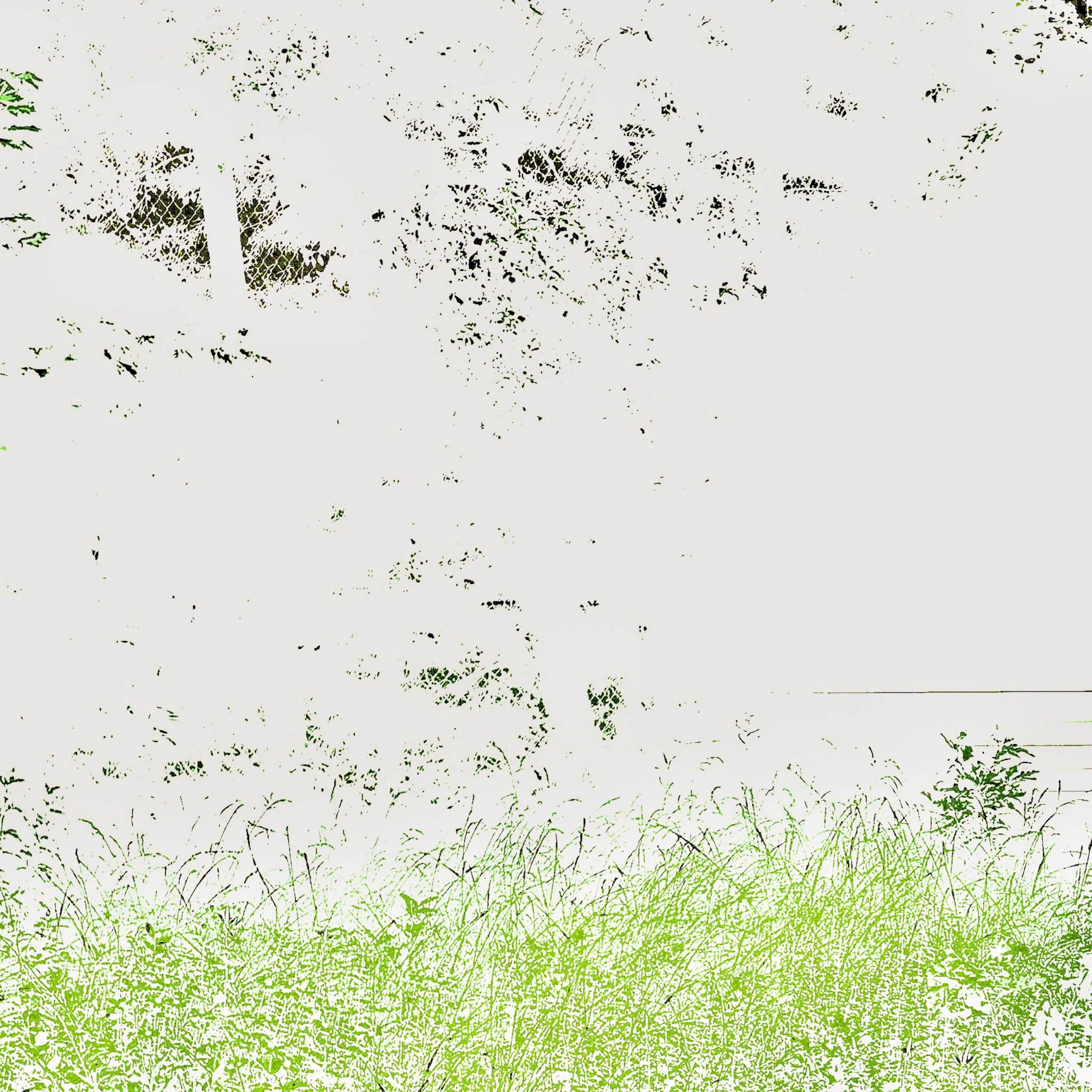 Zachary Mezzo - Home Movies