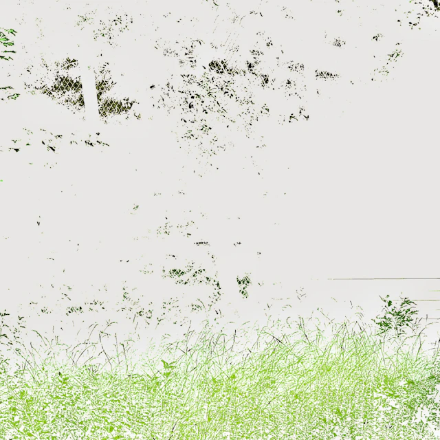 Zachary Mezzo - Home Movies