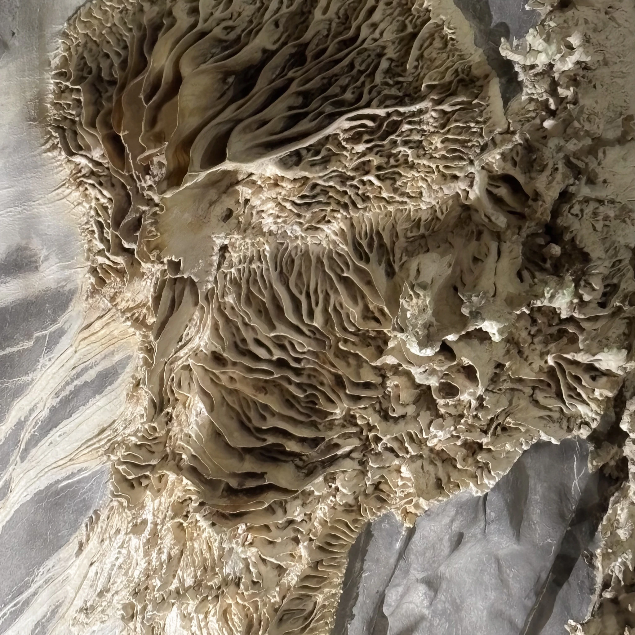 Bios Contrast, Nilotpal Das, enesai, KimHaeKyung - Cappucc1n0