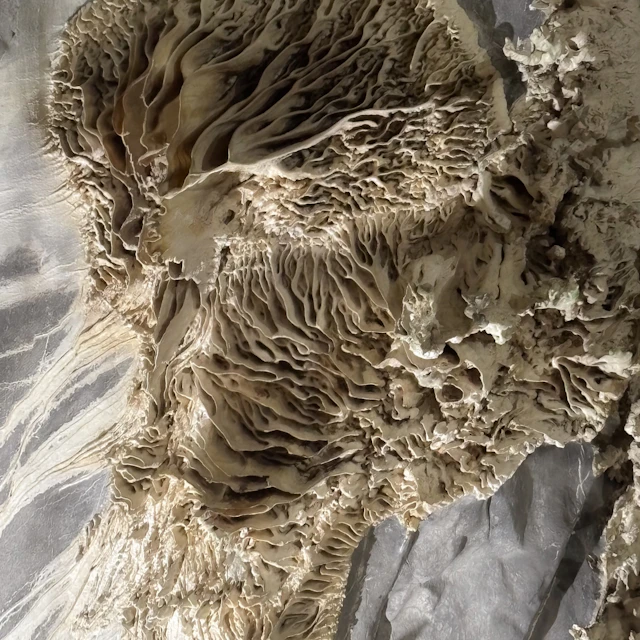 Bios Contrast, Nilotpal Das, enesai, KimHaeKyung - Cappucc1n0