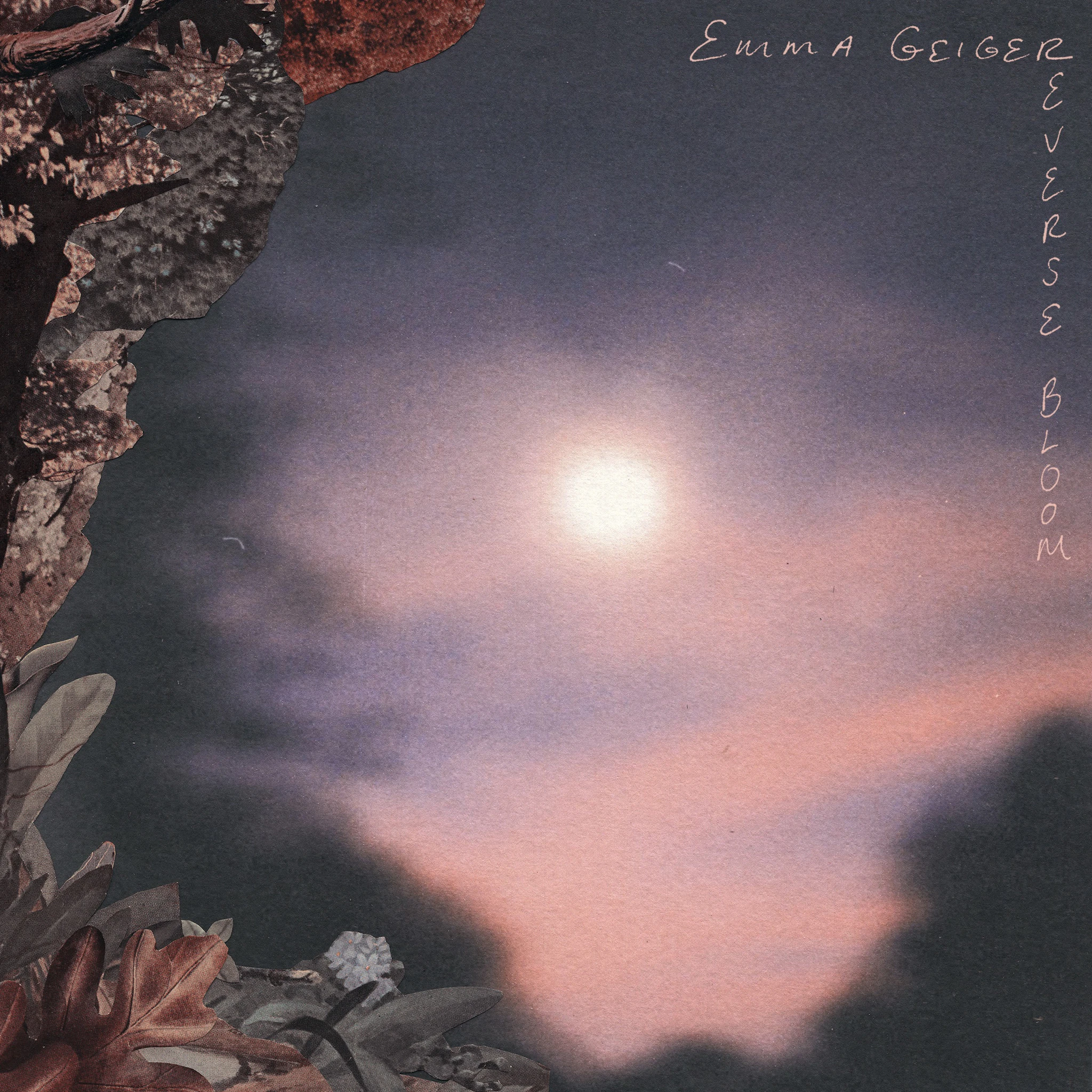 Emma Geiger - Reverse Bloom