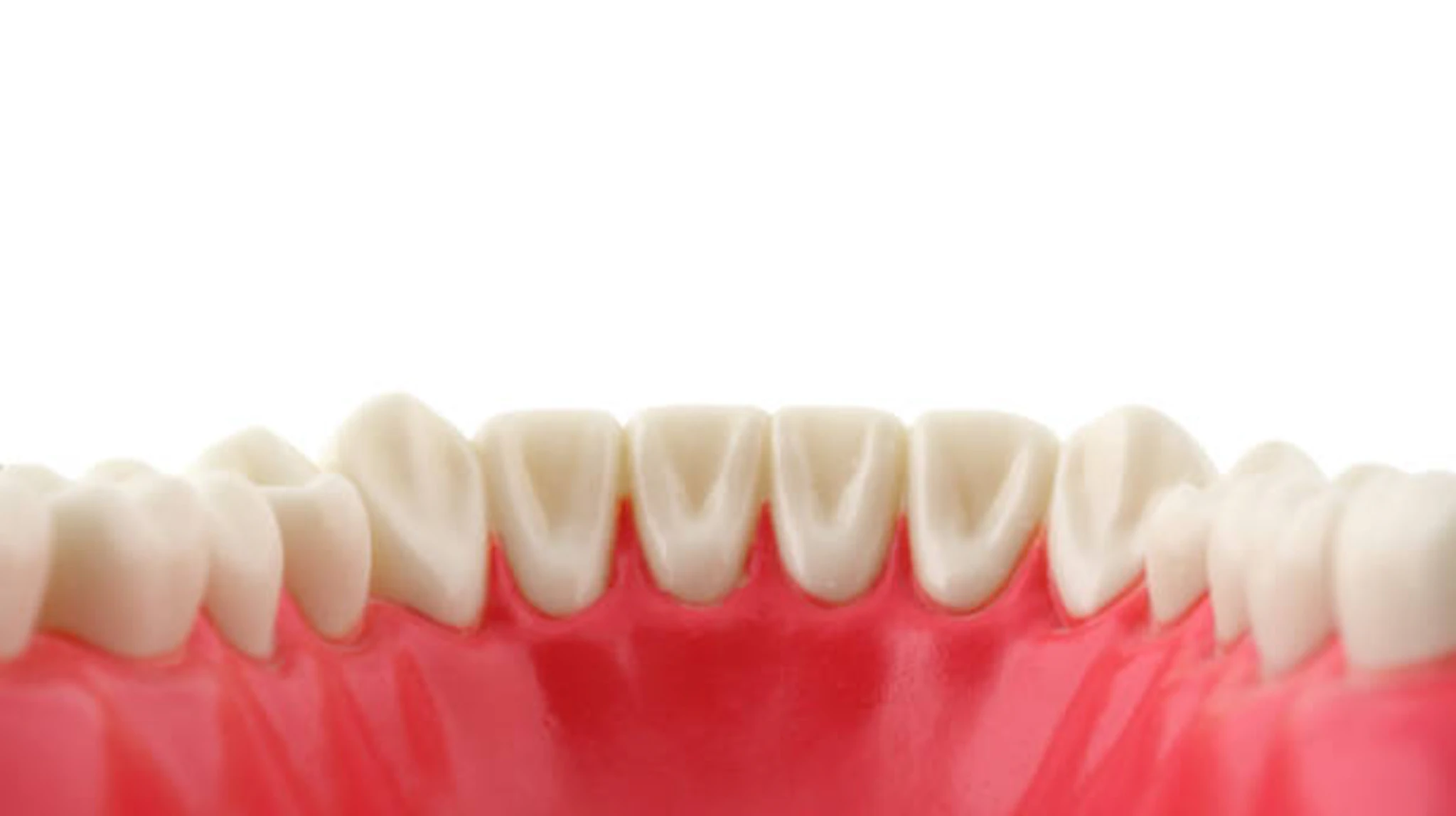 Whapping On the Pussy