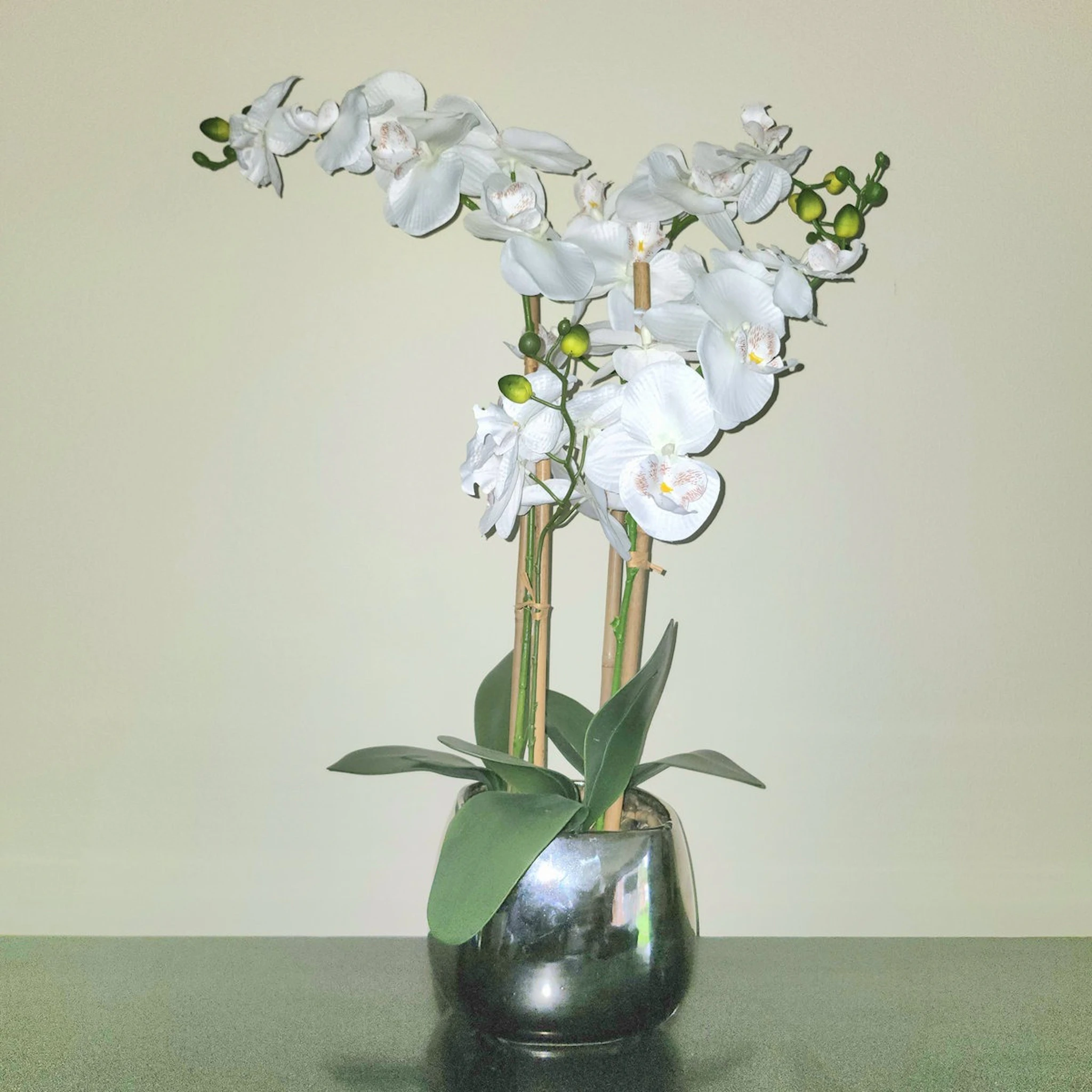 machineplus - not emilia harrington vol. 1