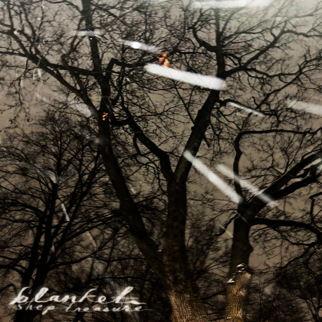 Shep Treasure - Fired and Expelled