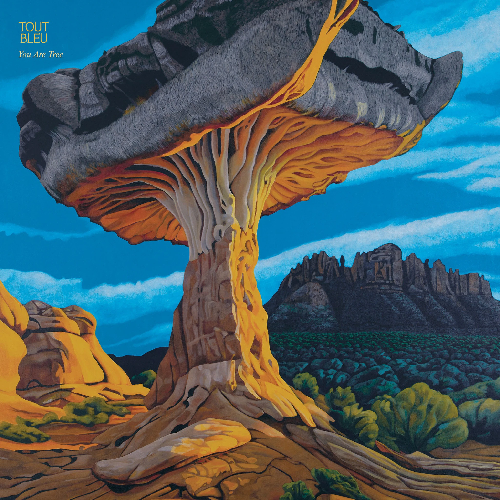 TOUT BLEU - You Are Tree