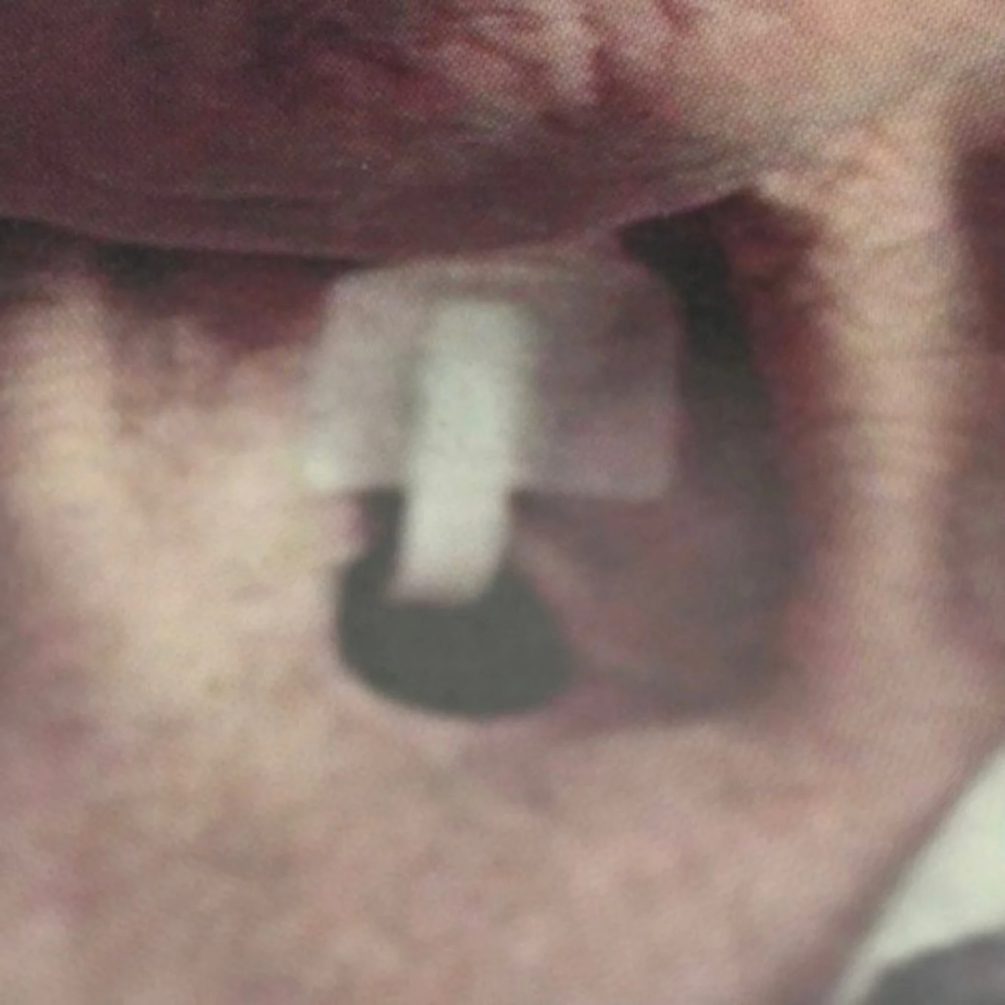 Ghost Of - Saudade Flx