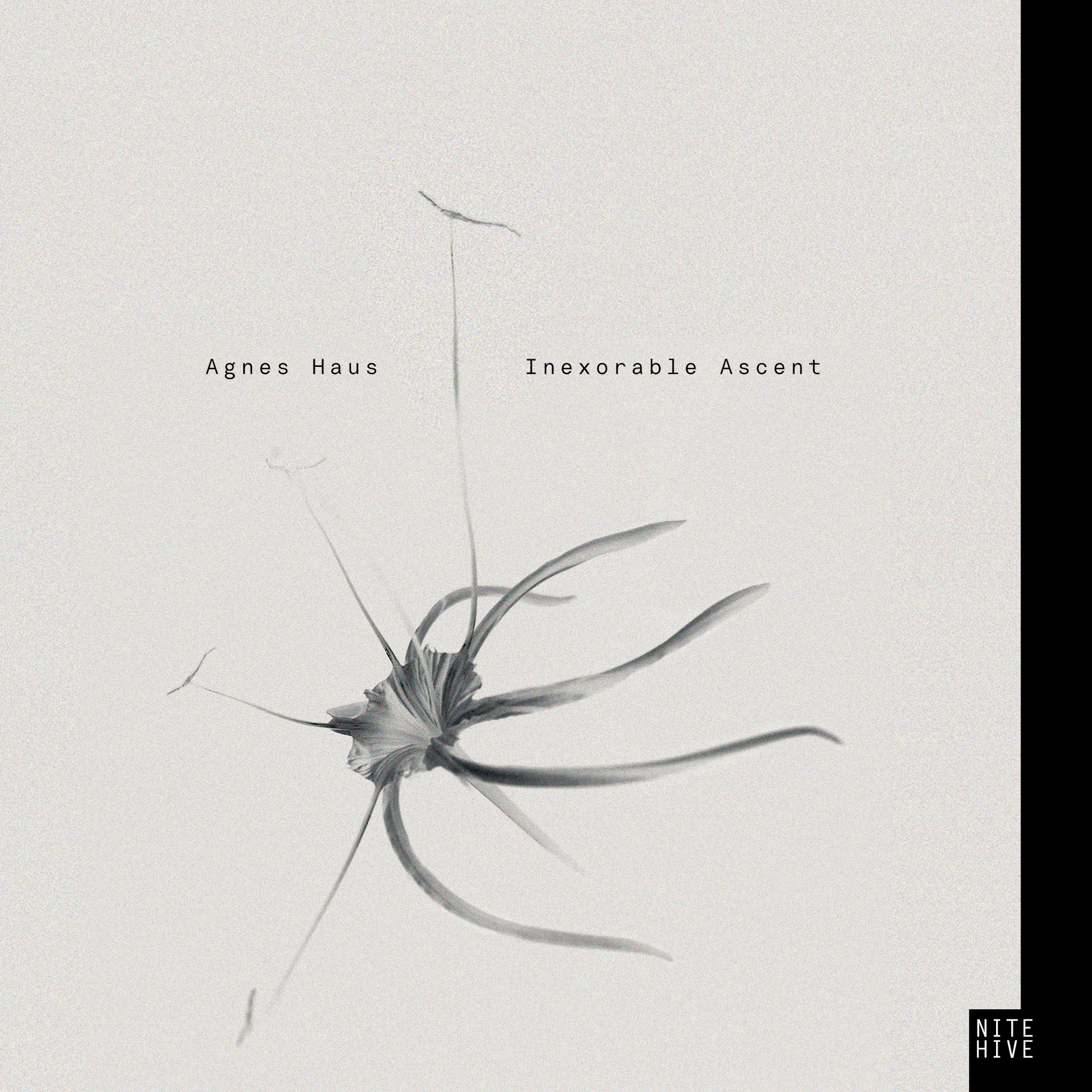 Agnes Haus - Inexorable Ascent