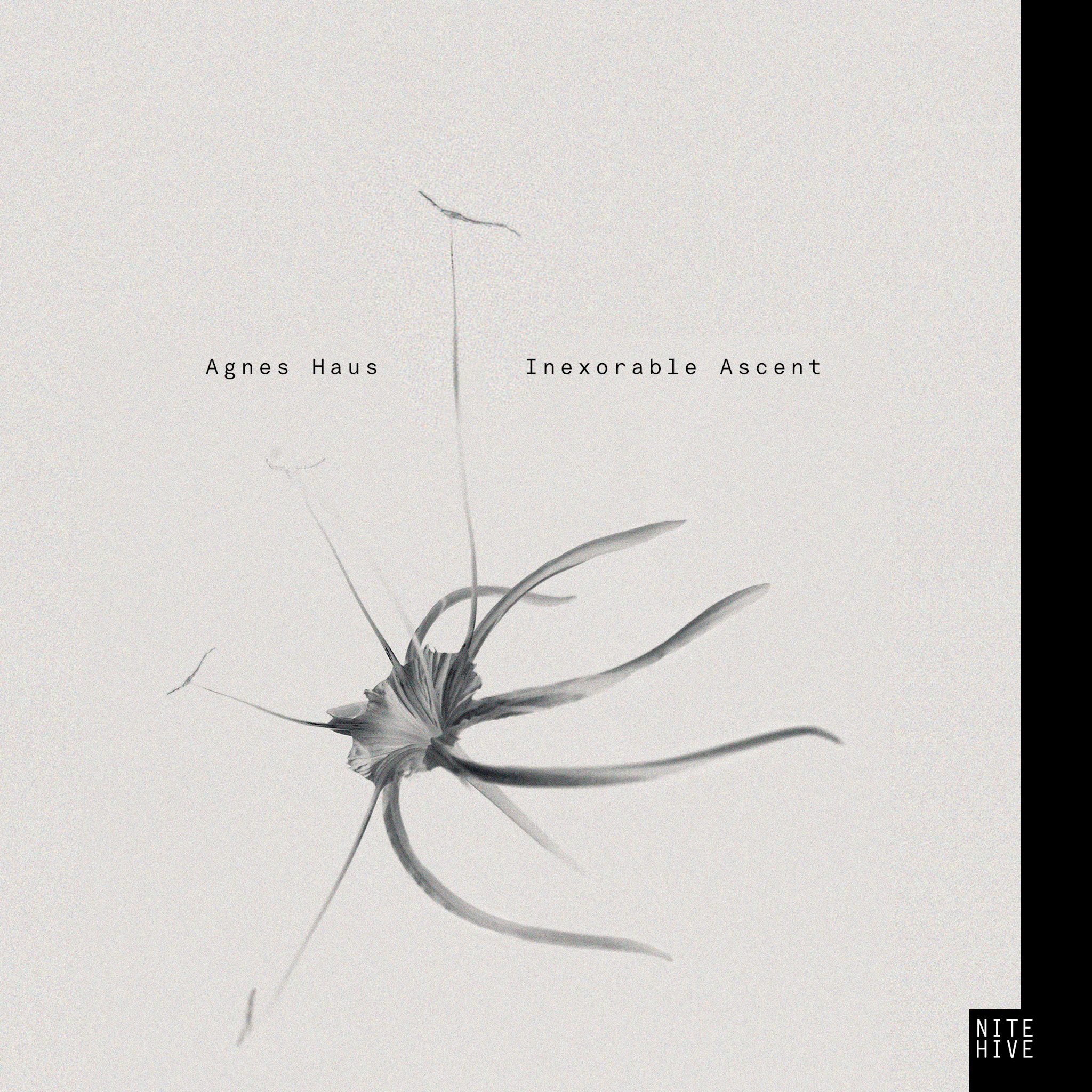 Agnes Haus - Inexorable Ascent