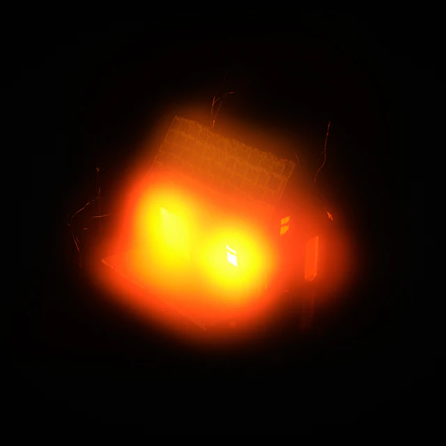 Lauren Auder - no outline