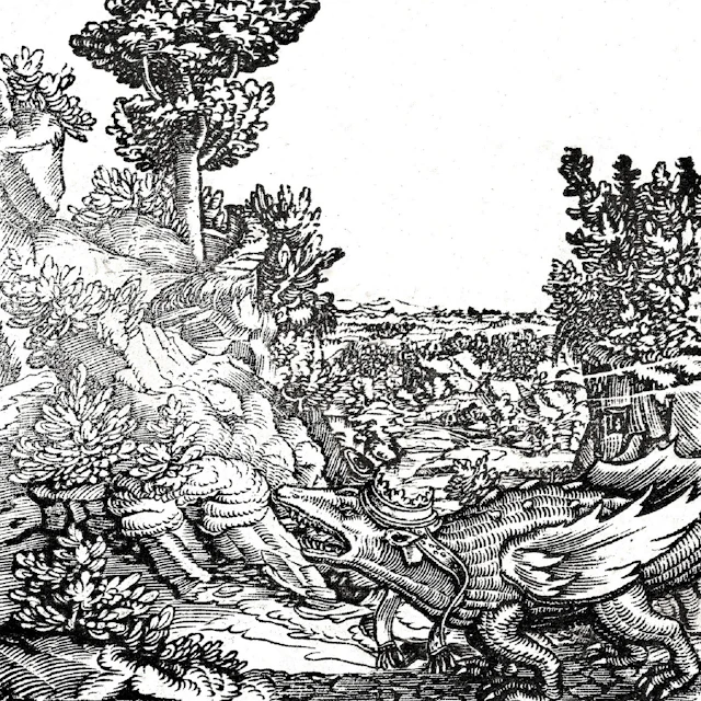 szczekanie na niewidoczne ptaki