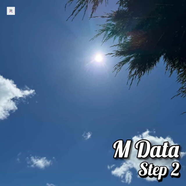 M Data - Step 2