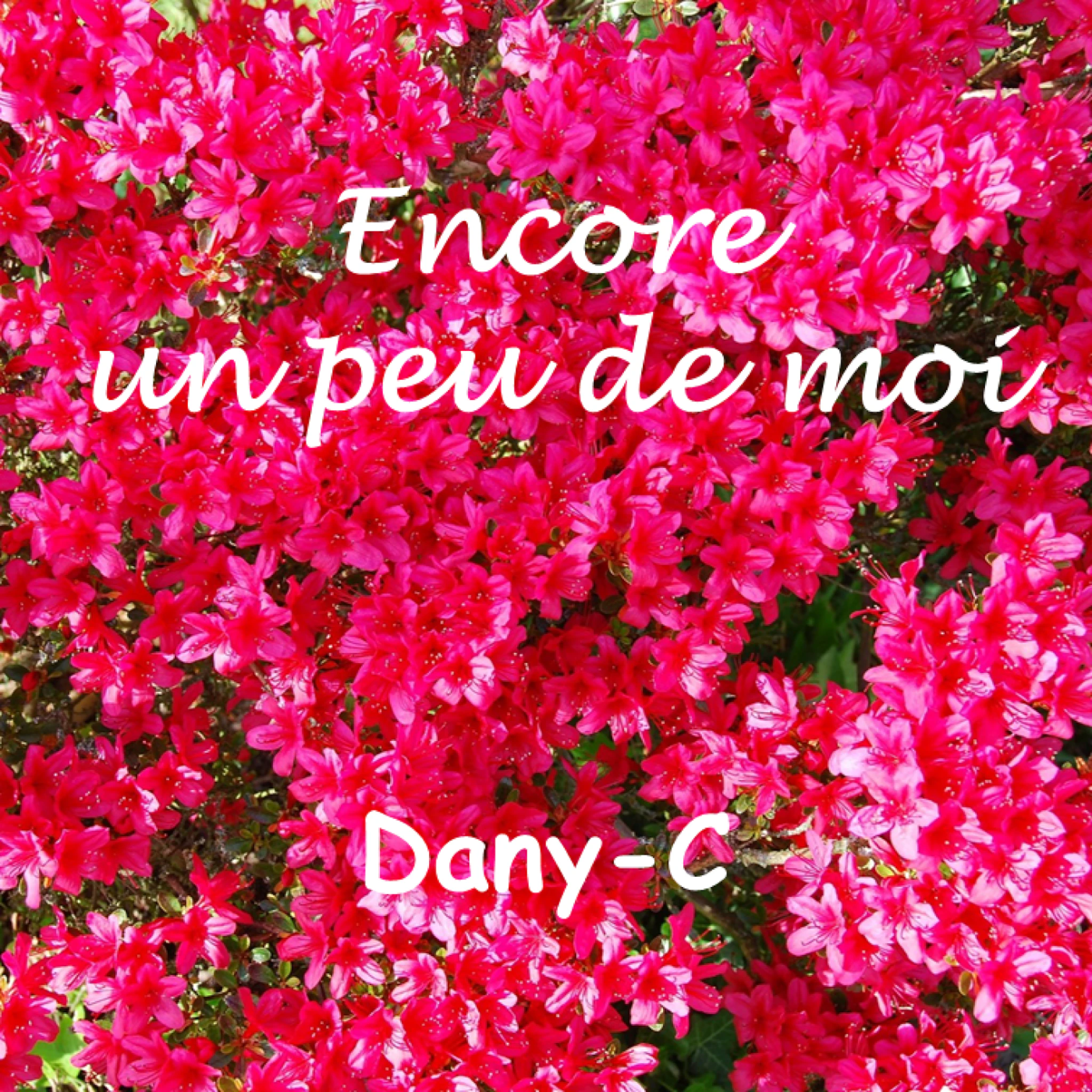 Encore un peu de moi