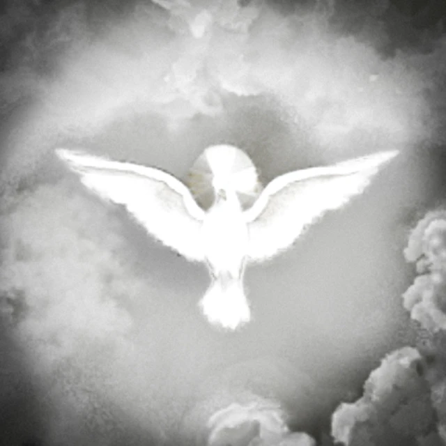 chictapi - Heaven's Gone