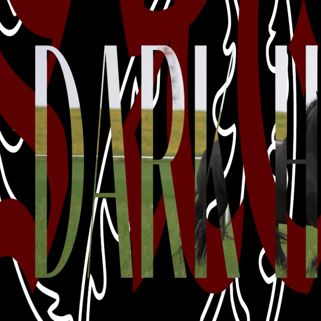 chictapi - Dark Horse