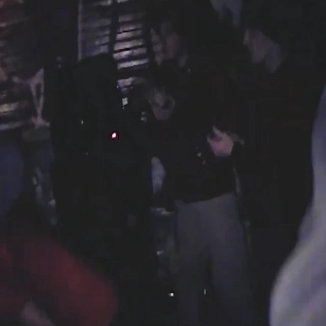 a walk through the forests of my hard drive