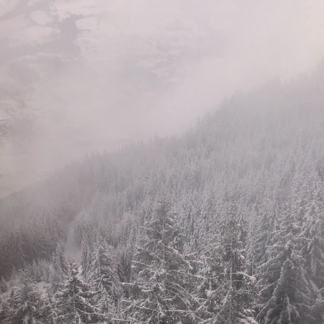 Selected Works (2019-2024)