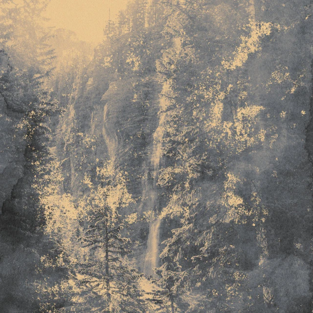 Anasisana - Transmogrify