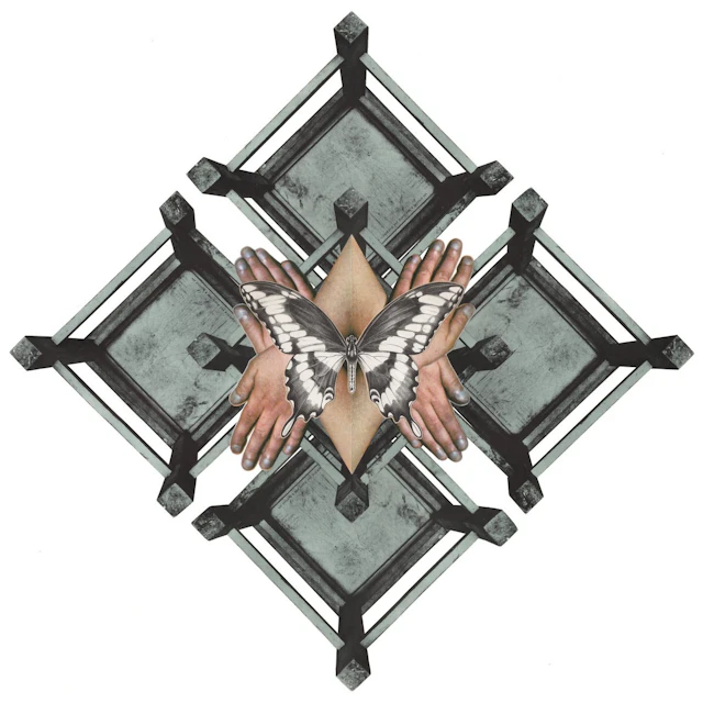 øjeRum - Butterfly Tongues More Ancient Than Flowers