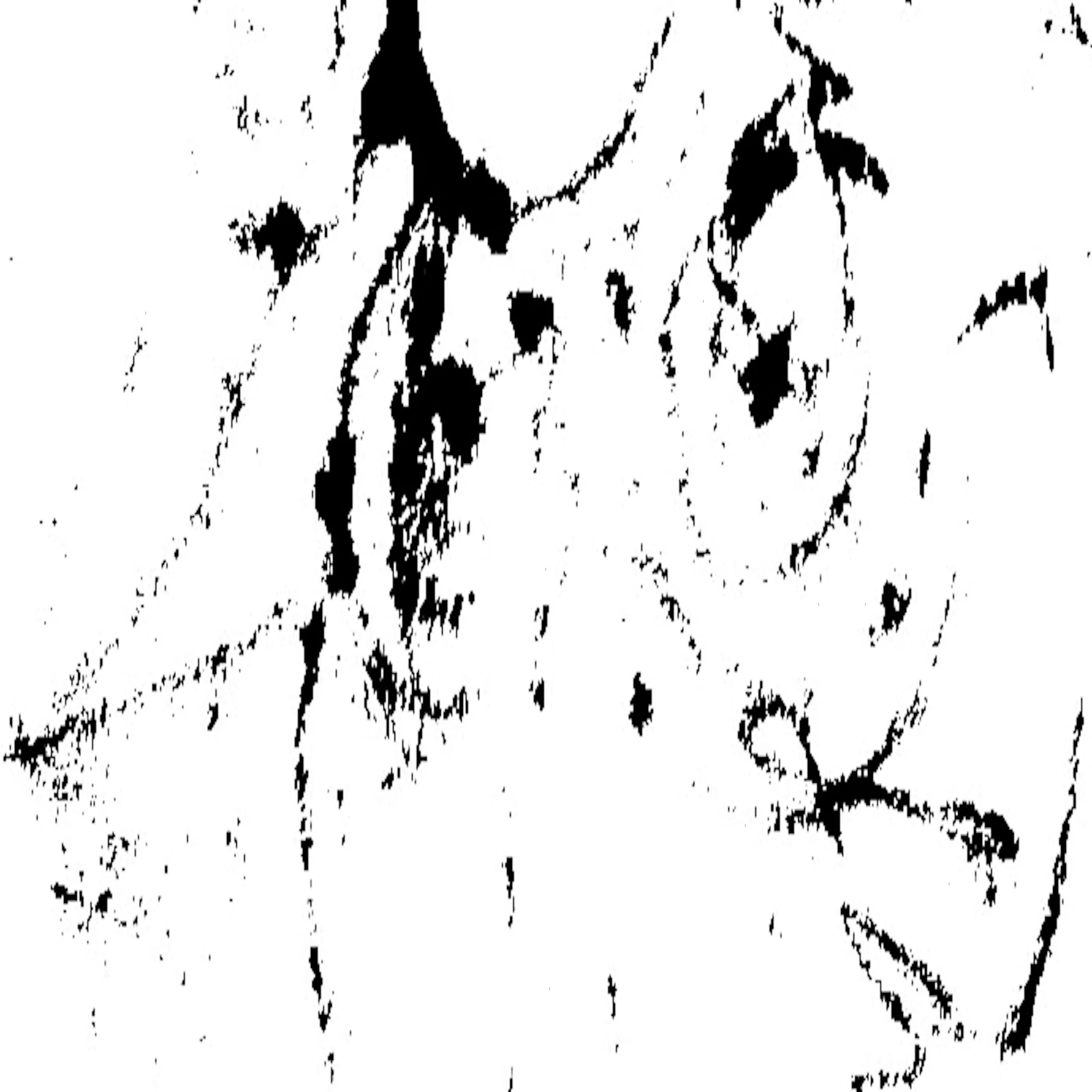 loup - come a little closer to me