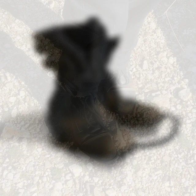 Vova Polunin - coin under the heel