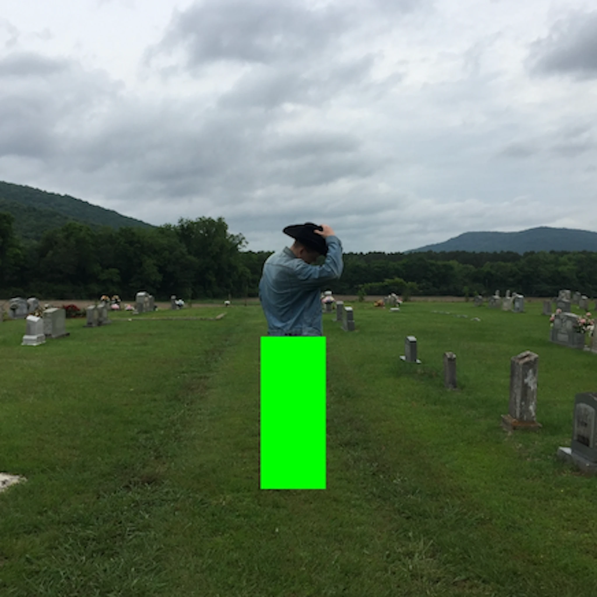 Daan Verbree - Screaming / Birds in charcoal forest