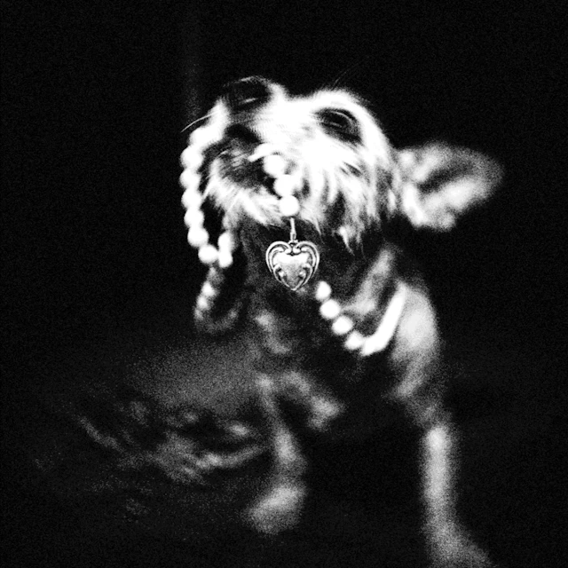 Dekora - Joyas de Plástico