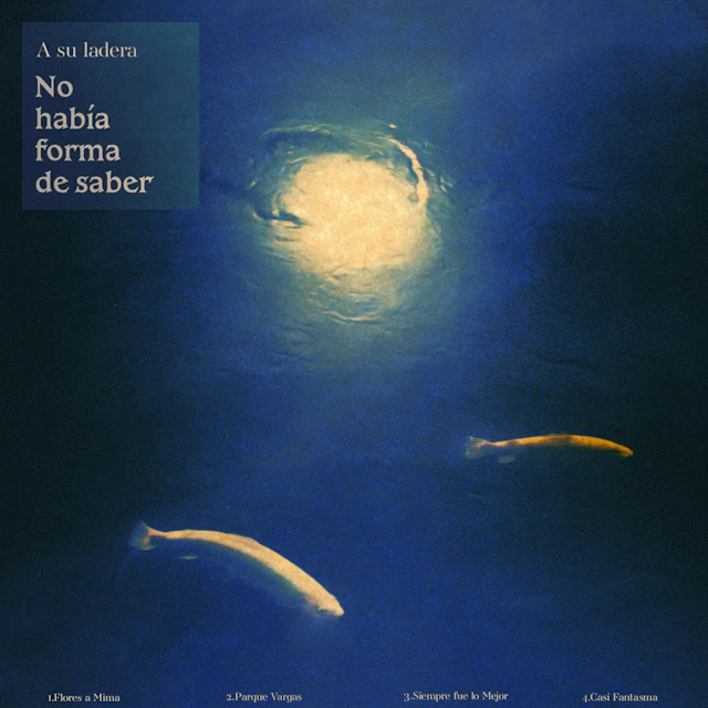 A su ladera - No había forma de saber