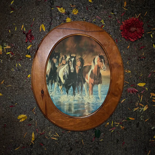 Goodbye Irish - Kentucky Horses