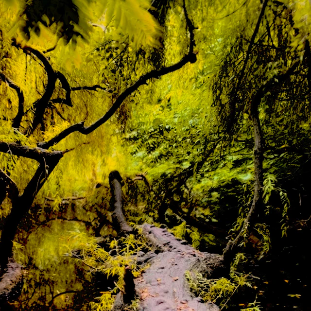 Krlena Wiśniewska - Haze