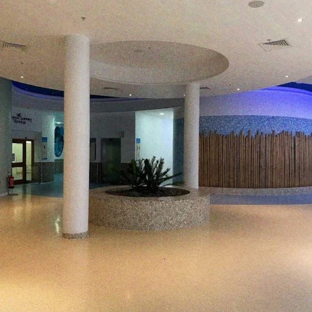 ///branched.detective.revision