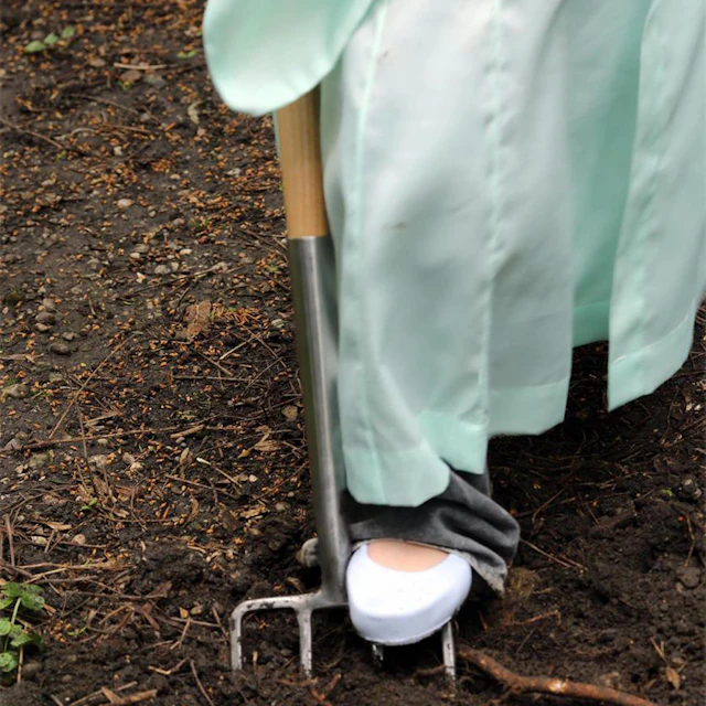 Daniel Cherney - Excerpts from Earthly Narratives