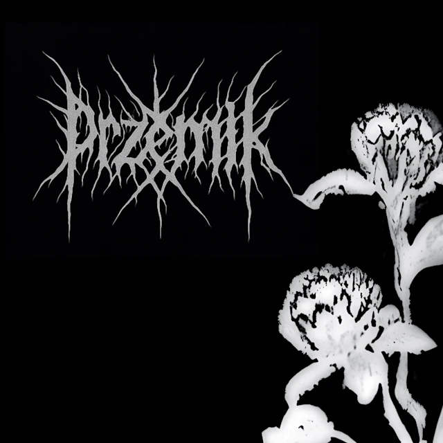 Przemek - Load da Ammo