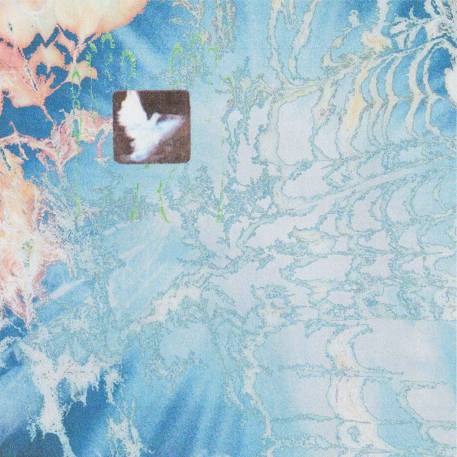 Darren Wright - Universal Key