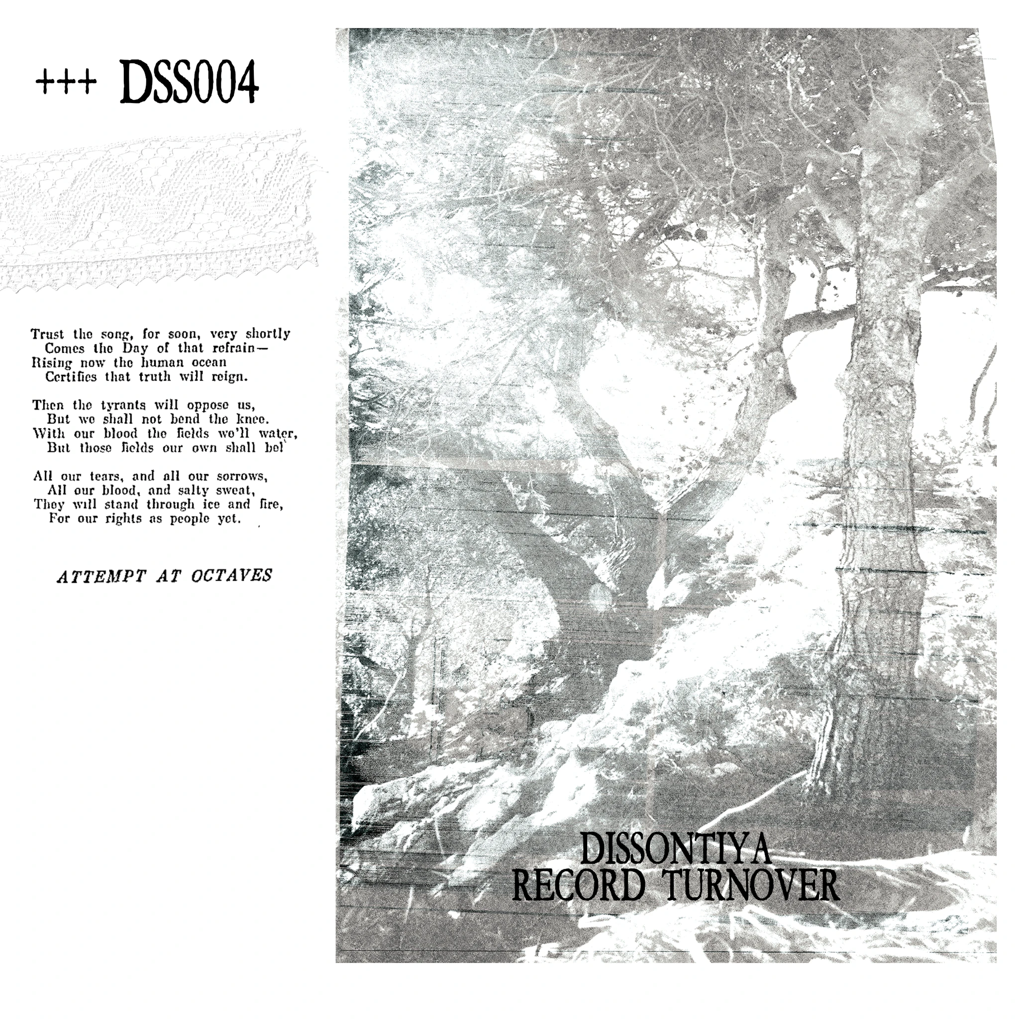 DSS004 - VA04 Record Turnover x Dissontiya
