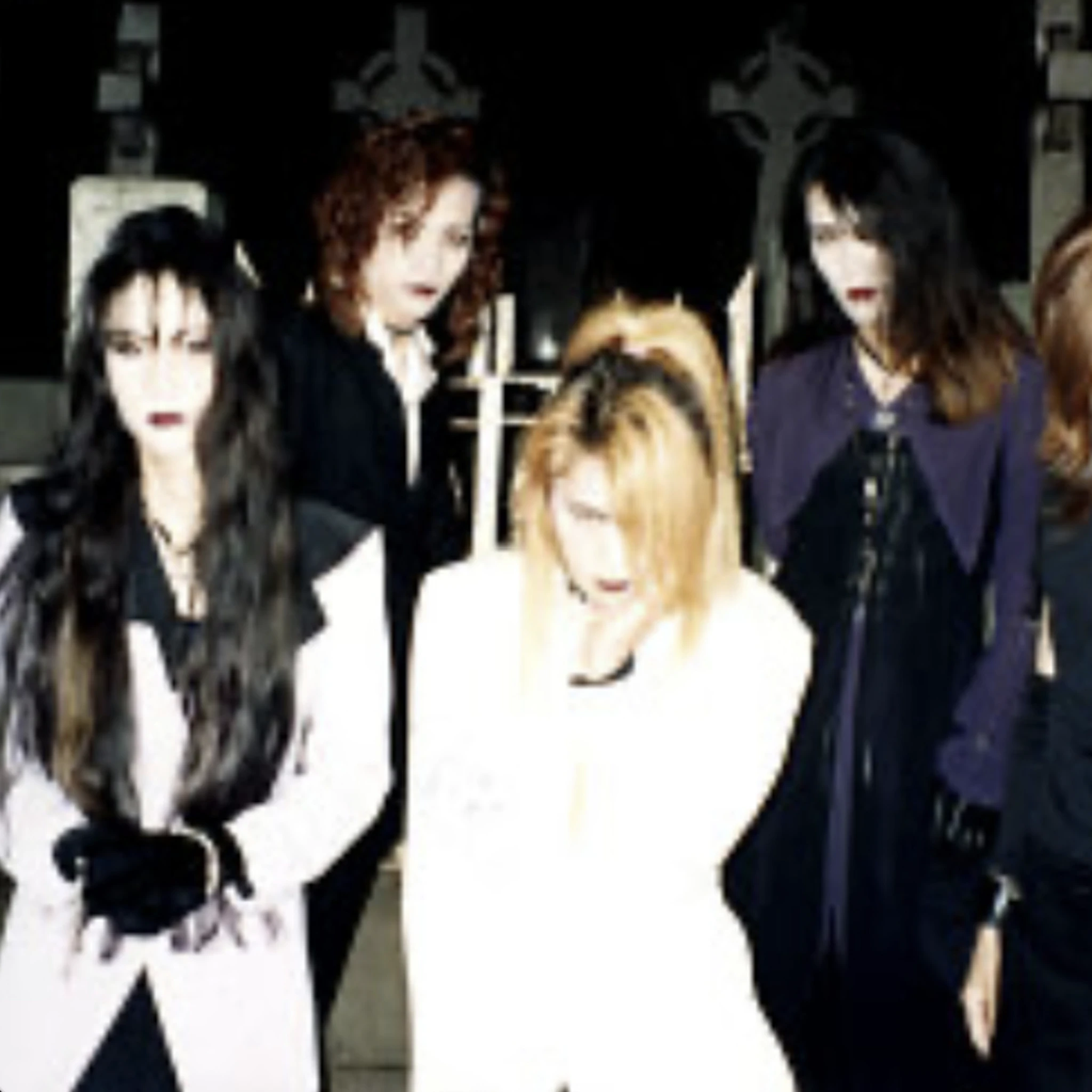 tavou - veneta (kay)