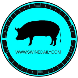 Swine Daily