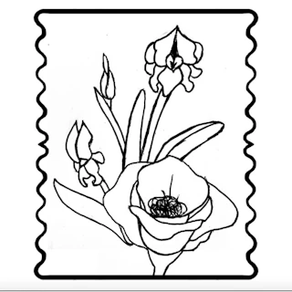 Faqqu’a Iris