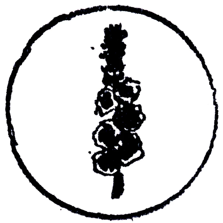 the hollyhock archive