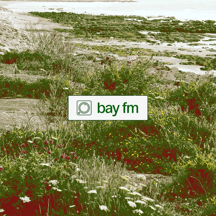 Bay FM