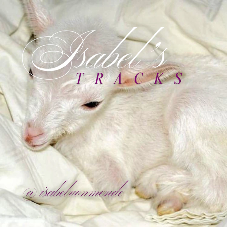 isabel's tracks