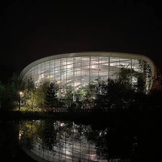 autumn / restless pines