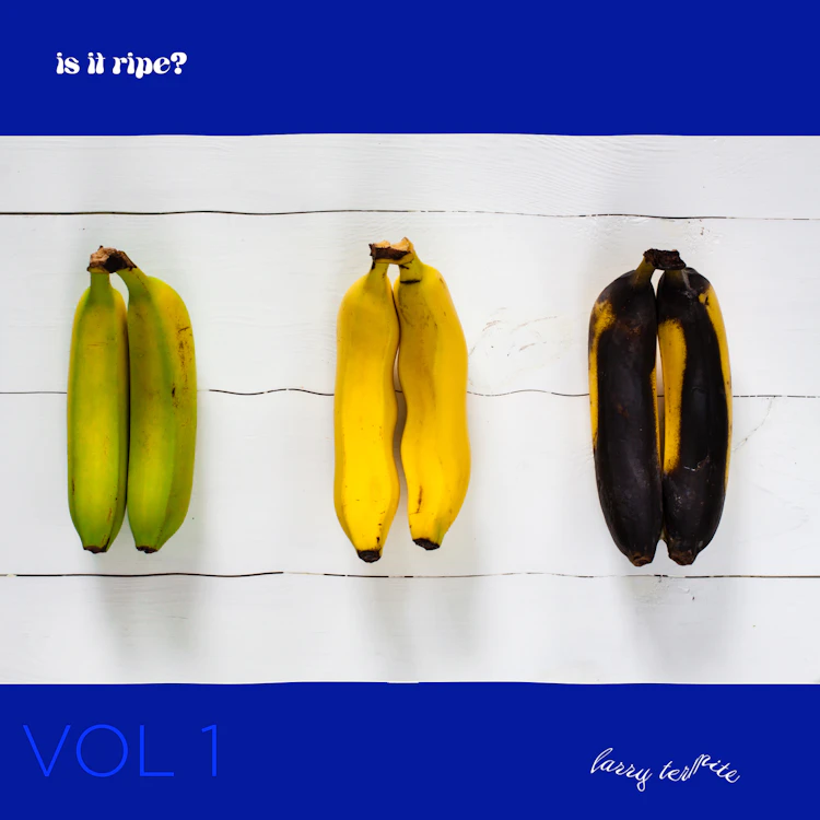 Larry Termite - "too ripe" (from "is it ripe? vol 1")