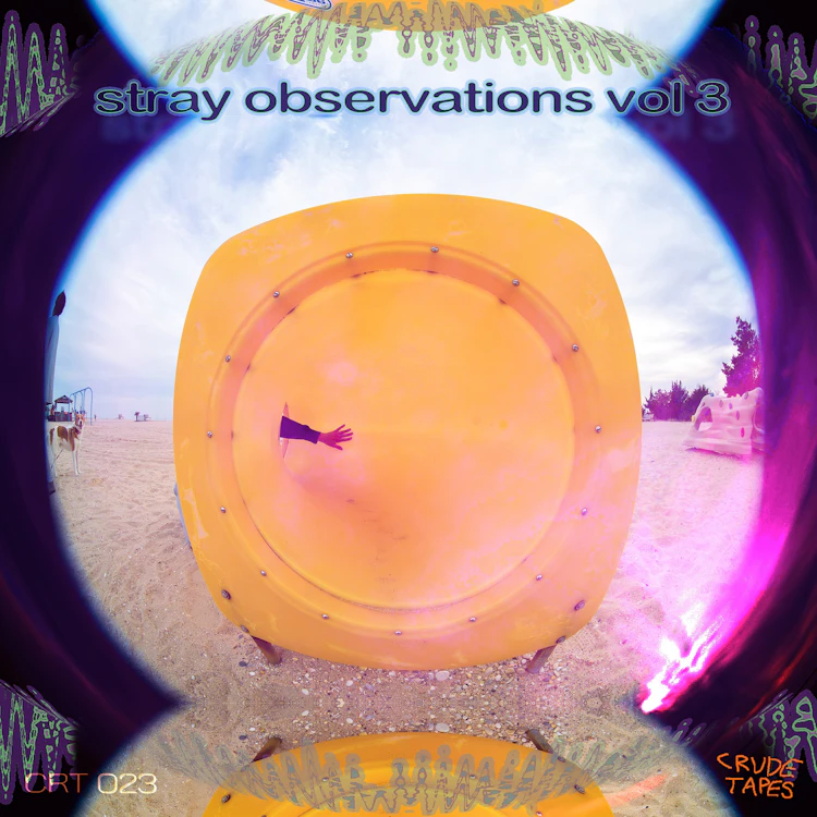 Various Artists - Stray Observations Volume 3