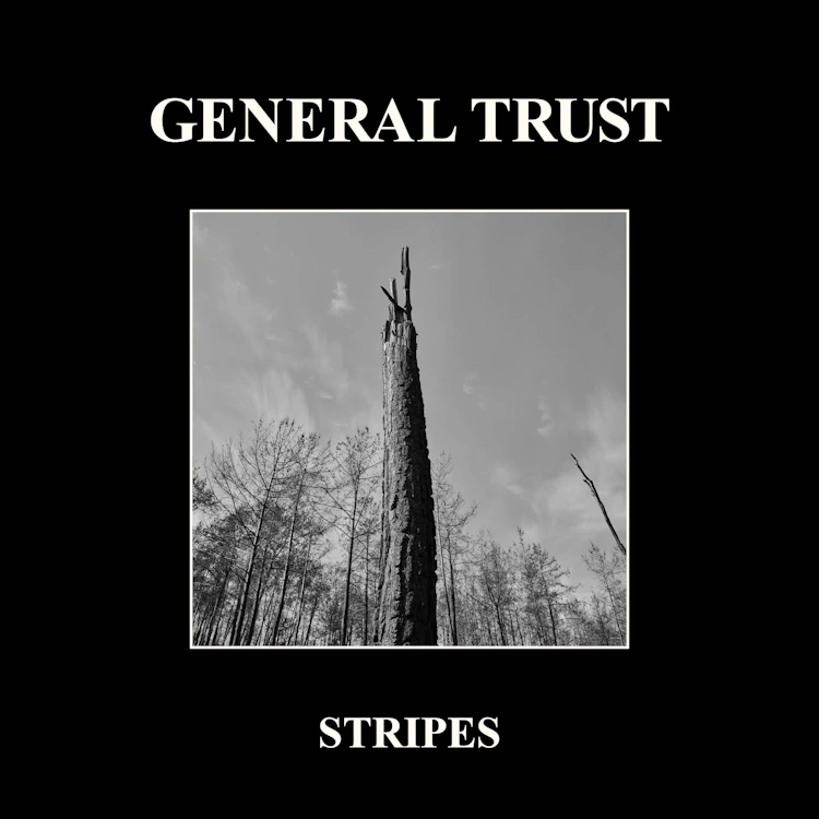 General Trust - Stripes