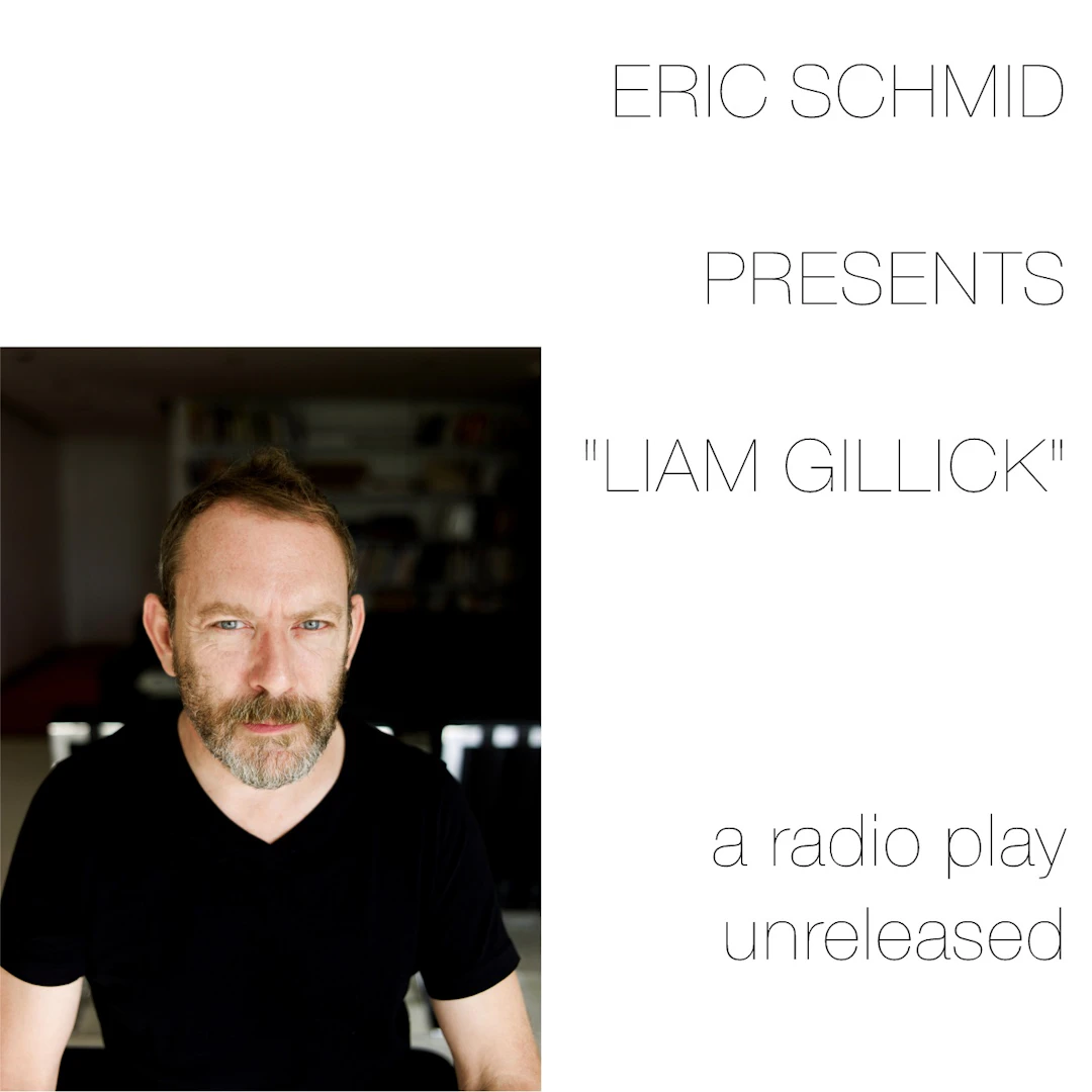 Eric Schmid - Liam Gillick