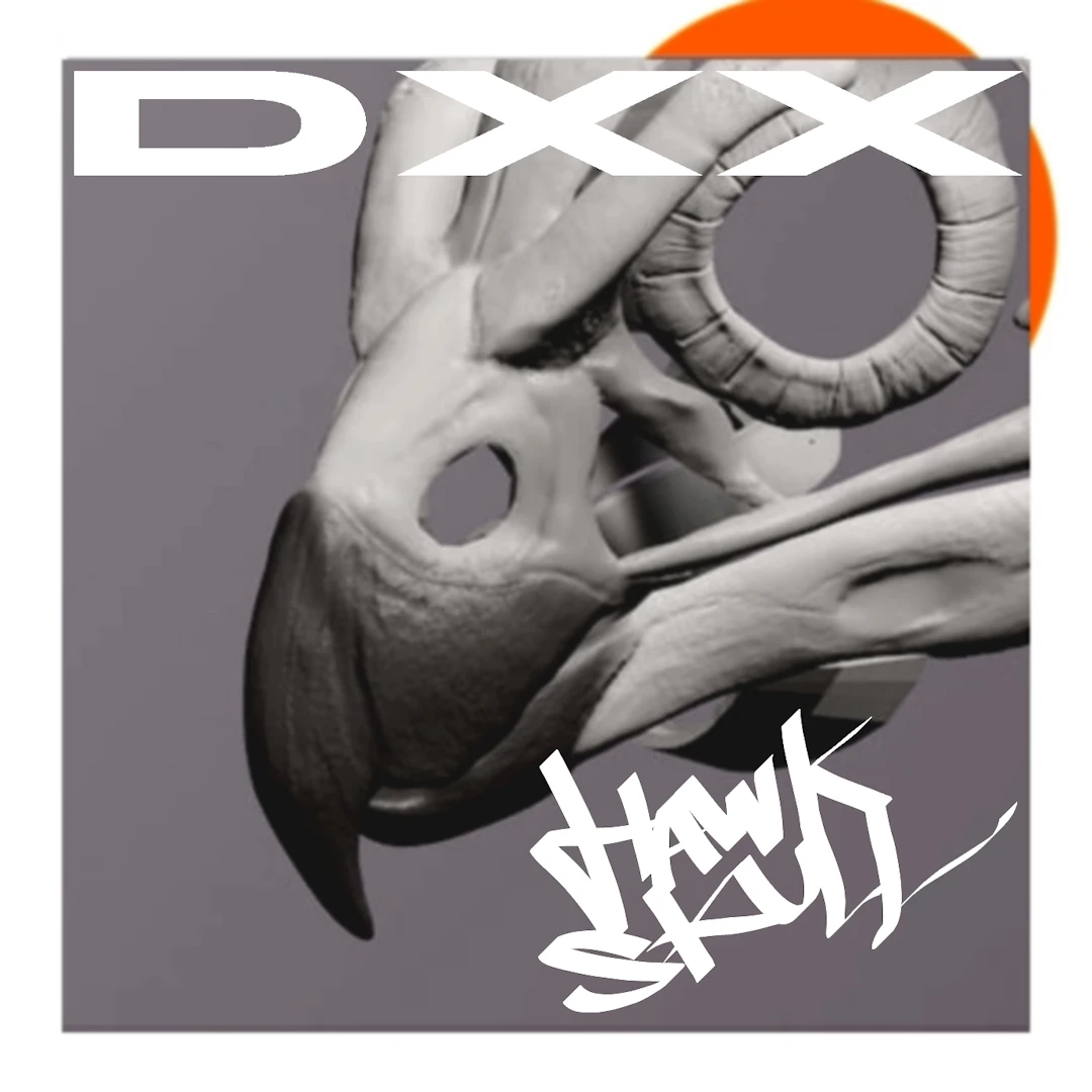 DXx - HAWK SKULL