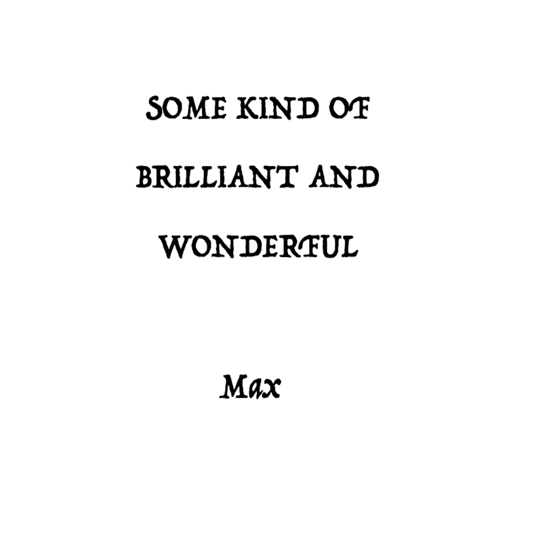 Max Beirne Shafer - Some Kind Of Brilliant And Wonderful 