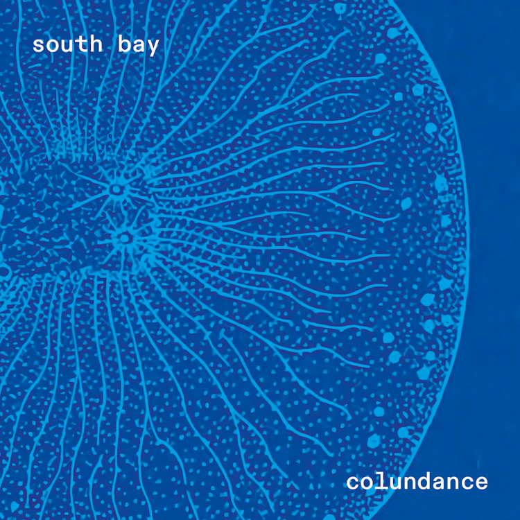 rave industries - south bay colundance