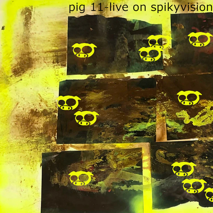 pig11 - live on spikyvision 2023
