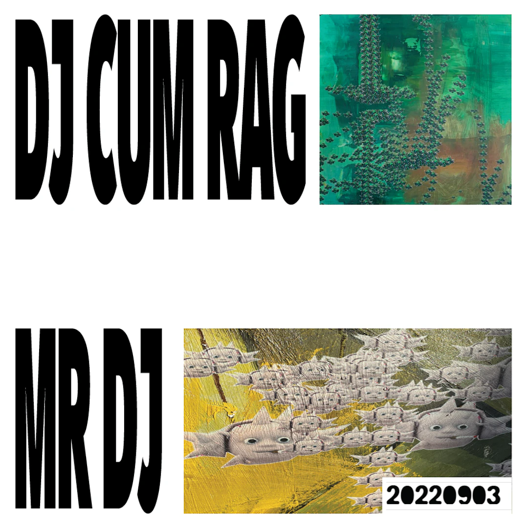 DJ Cum Rag - MR DJ